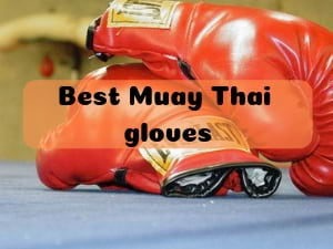 best muay thai gloves