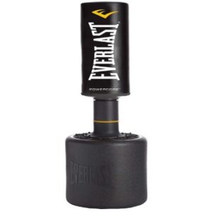 everlast power punching bag under 100