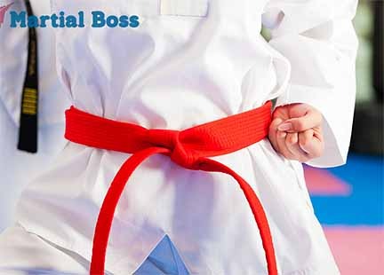 Various Bjj belts