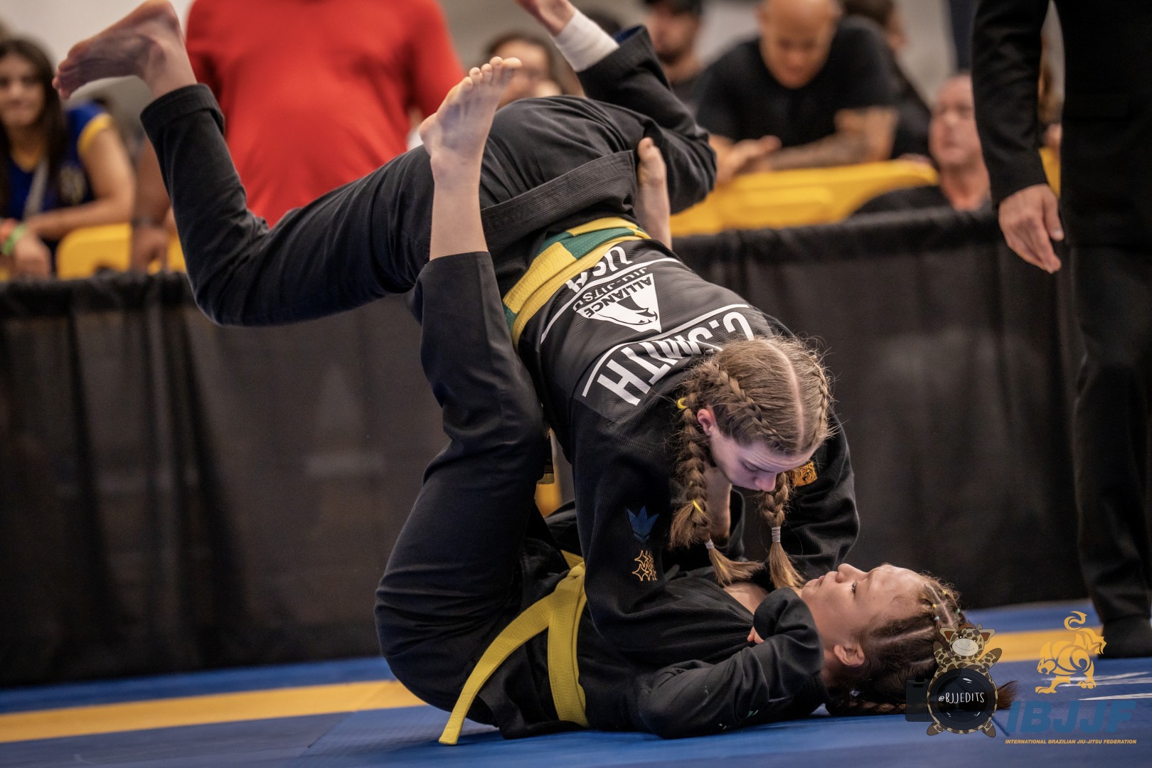 best jubo throw for bjj