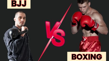 Brazilian Jiu Jitsu vs Boxing