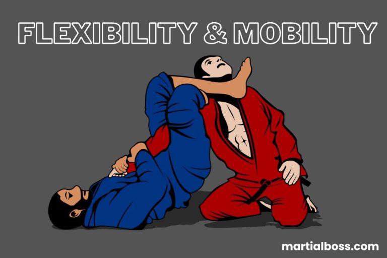 Flexibility & Mobility for JIu Jitsu
