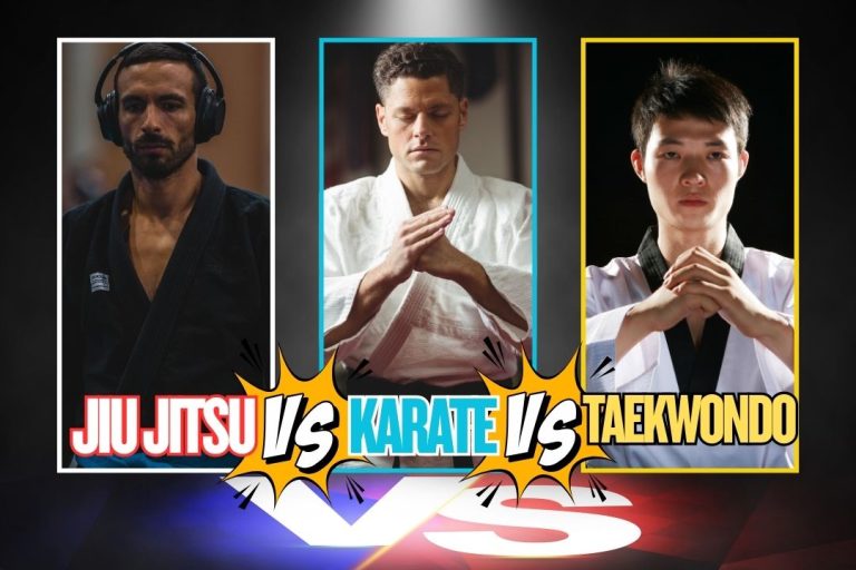 Jiu Jitsu vs Karate vs Taekwondo