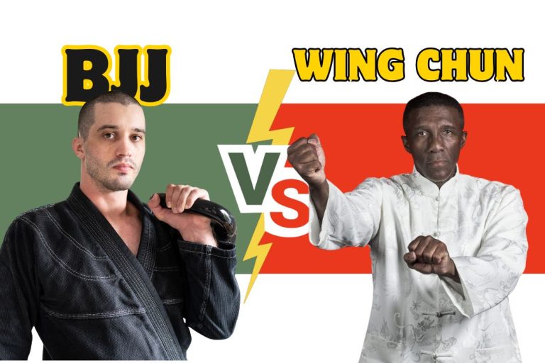 Wing Chun vs Brazilian Jiu Jitsu